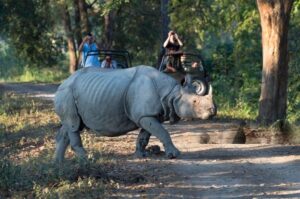 Kaziranga_safari-transformed